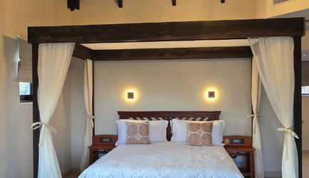 Rhino Safari Suite