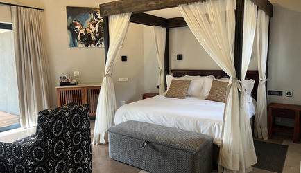 Wild Dog Safari Suite 