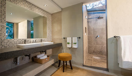 Safari Suite bathroom