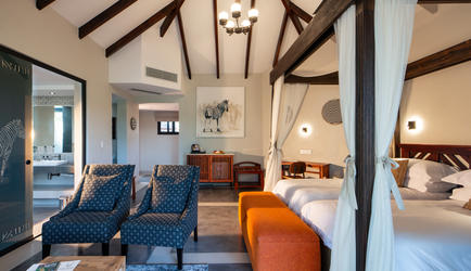 Zebra Safari Suite
