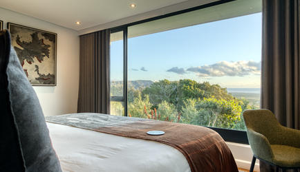 Bedroom with View