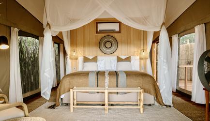 Encounter by Ongava Guest Tent