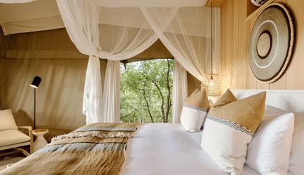 Encounter by Ongava Guest Tent