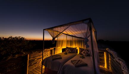 Skybed
