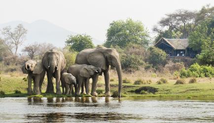 Chiawa Camp Safari Suite Location