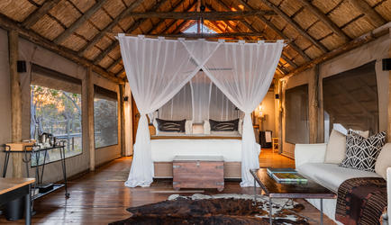 Wilderness Savuti