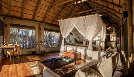 Wilderness Savuti