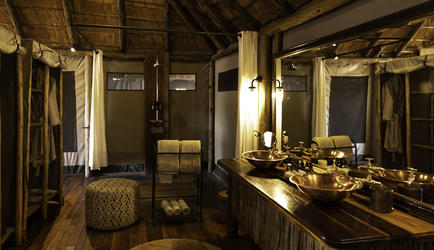 Wilderness Savuti