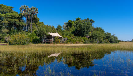 Jacana Camp Room