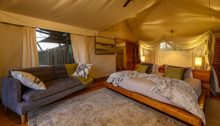 Jacana Camp Room