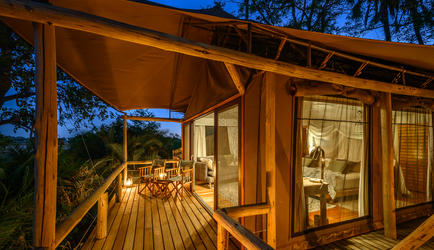 Jacana Camp Room