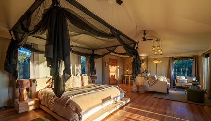 Tubu Tree Camp Room