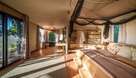 Tubu Tree Camp Room