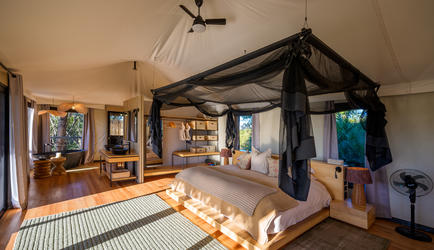 Tubu Tree Camp Room