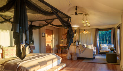 Tubu Tree Camp Room