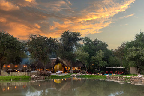 Onguma Forest Camp Überblick