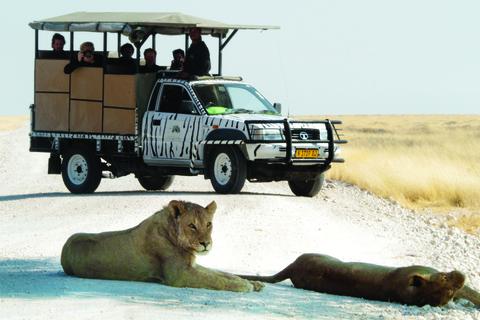 Etosha Safari Camp