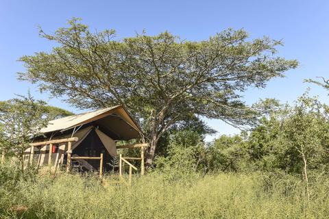 Zululand Lodge jedes Safari Lodge Zelt ist abgeschieden und privat
