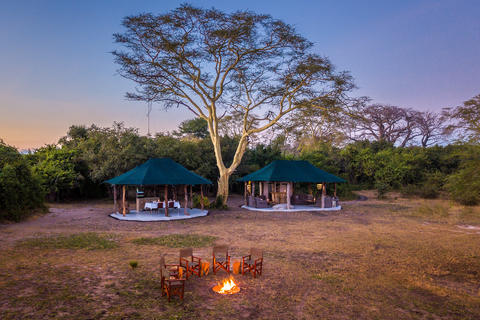 Set between two fever trees