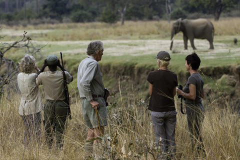 Wonderful game viewing on walking safaris