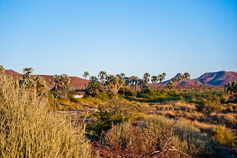 Es ist wie eine Rückkehr ins Paradies, wenn Sie nach Ihren Abenteuern im Palmwag Schutzgebiet wieder da sind