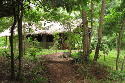 Comfortably furnished en-suite tents