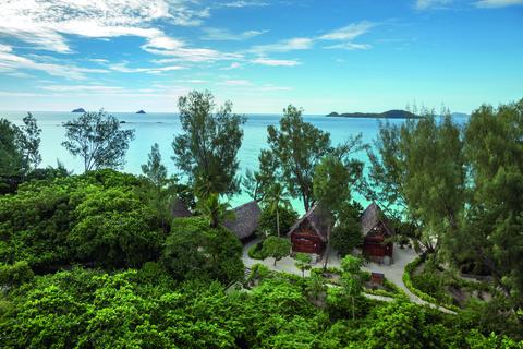 Beach forest setting