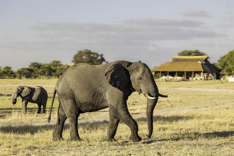 Hauptbereich mit Blick hinunter auf ein produktives Wasserloch