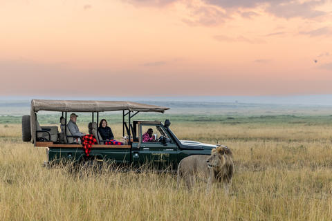 Sentinel Mara Game Drive