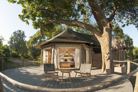 Spacious and elegant tent with large viewing deck