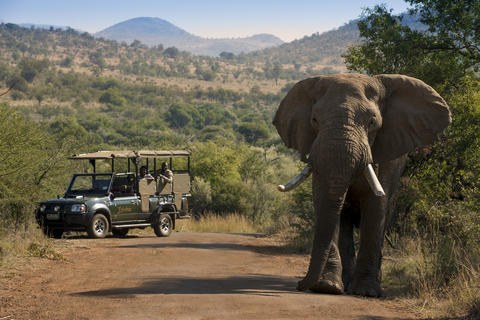 Bakubung Game Drives