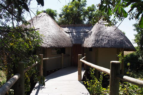 Lion Camp - Walkways to Suites