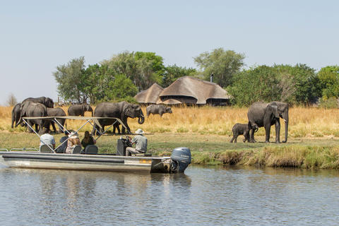 Boot-Safari in der Chobe Savanna Lodge
