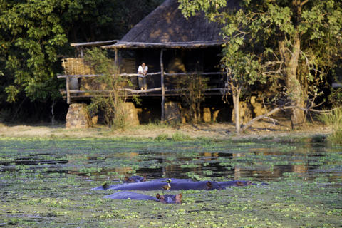 Watching hippos from chalet