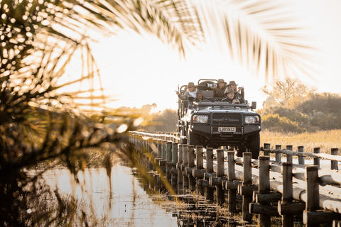 Im Herzen des Okavango, auf einer abgelegenen Insel, lädt Jao Sie ein, eines der reichhaltigsten Erlebnisse des Deltas zu entdecken.
