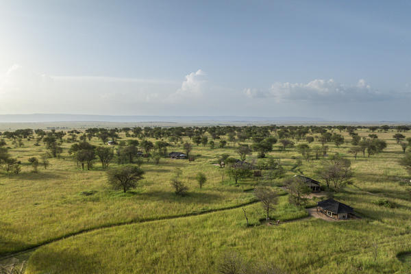 Nyasi, Auberge Safari