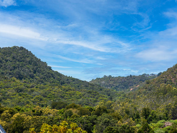 VIP Knysna