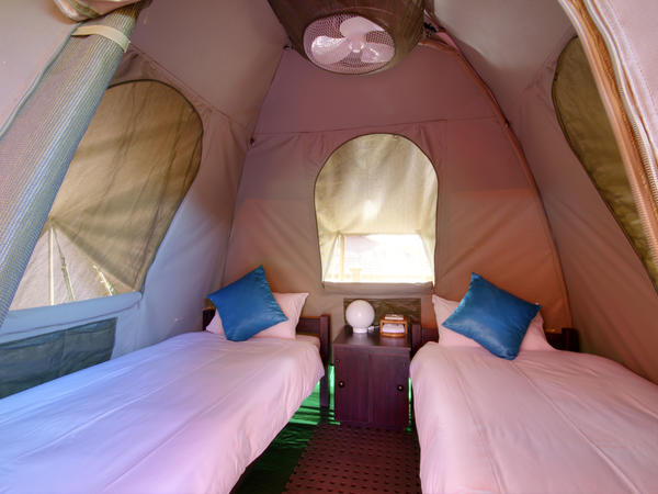 TWIN DOME TENTS 