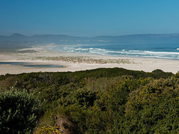Mosselberg on Grotto Beach