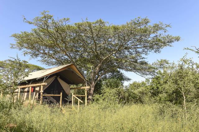 Zululand Lodge jedes Safari Lodge Zelt ist abgeschieden und privat