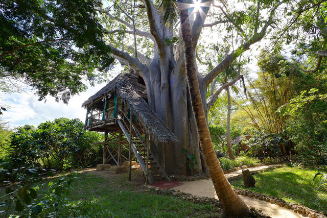 Eines unserer sechs Baumhäuser unter den Baobab Bäumen der Insel Cole