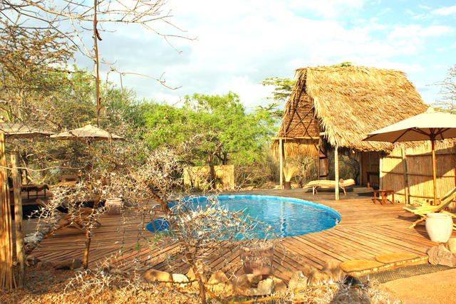 The swimming pool nestles between acacia trees, great for a cooling off dip.