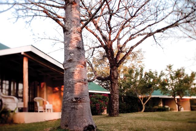 Set amongst Baobab, Fig and Acacia trees in the heart of the Colonial Perry’s Bridge Trading Post Centre.