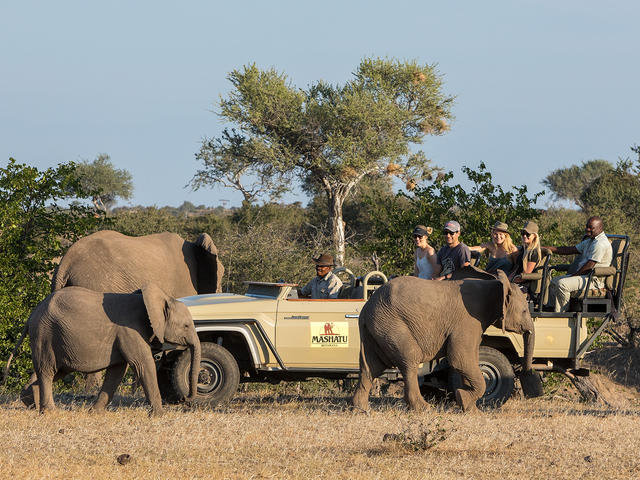 Game Drives