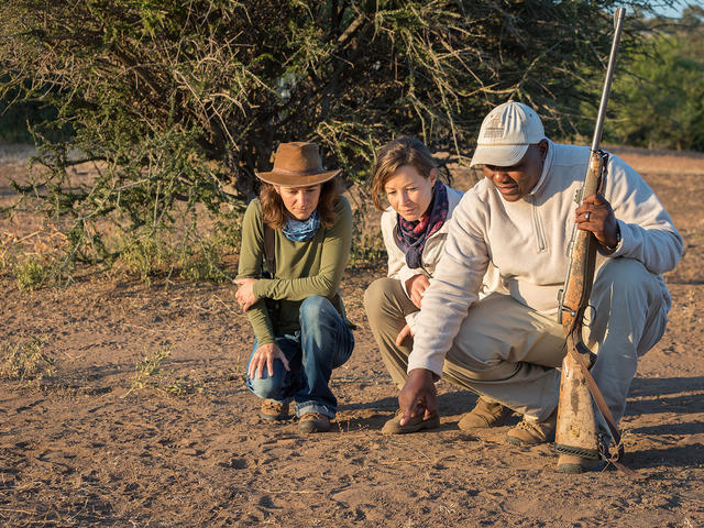 Mashatu Walking Safaris