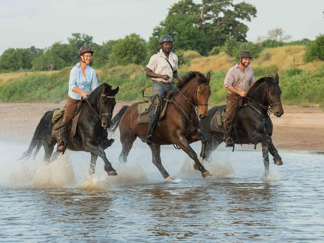 Horse Safaris