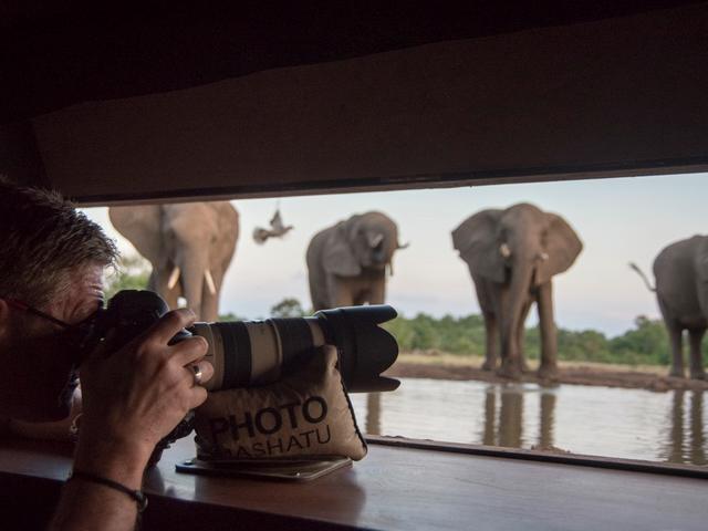 Mashatu Photographic Hides