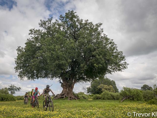 Mashatu Cycle Safaris