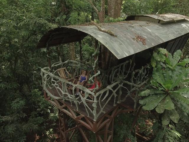 Costa Rica Tree Houses