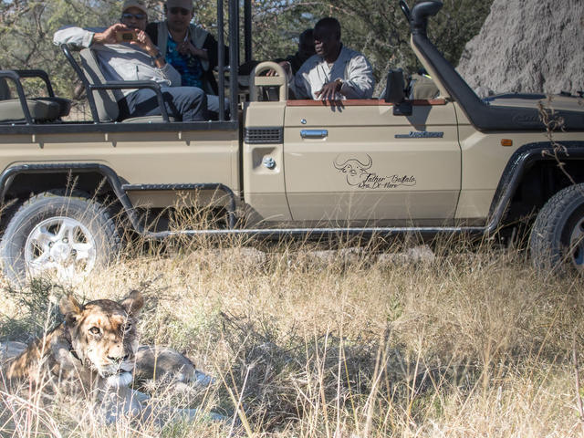Game drives, mokoros and game walks